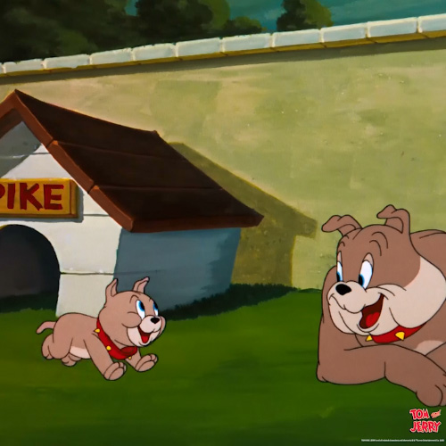 キャラクター紹介 Tom And Jerry Official Online Store キャラクター紹介 Tom And Jerry Official Online Store
