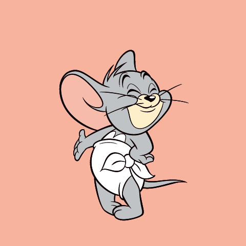 Tom And Jerry Official Online Store