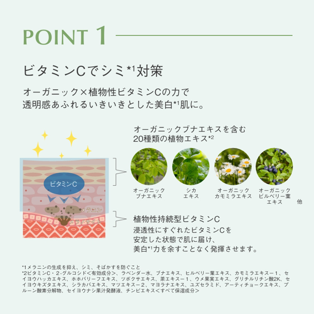 ダーマレーザー VCホワイトローション 240ml: コスメ
