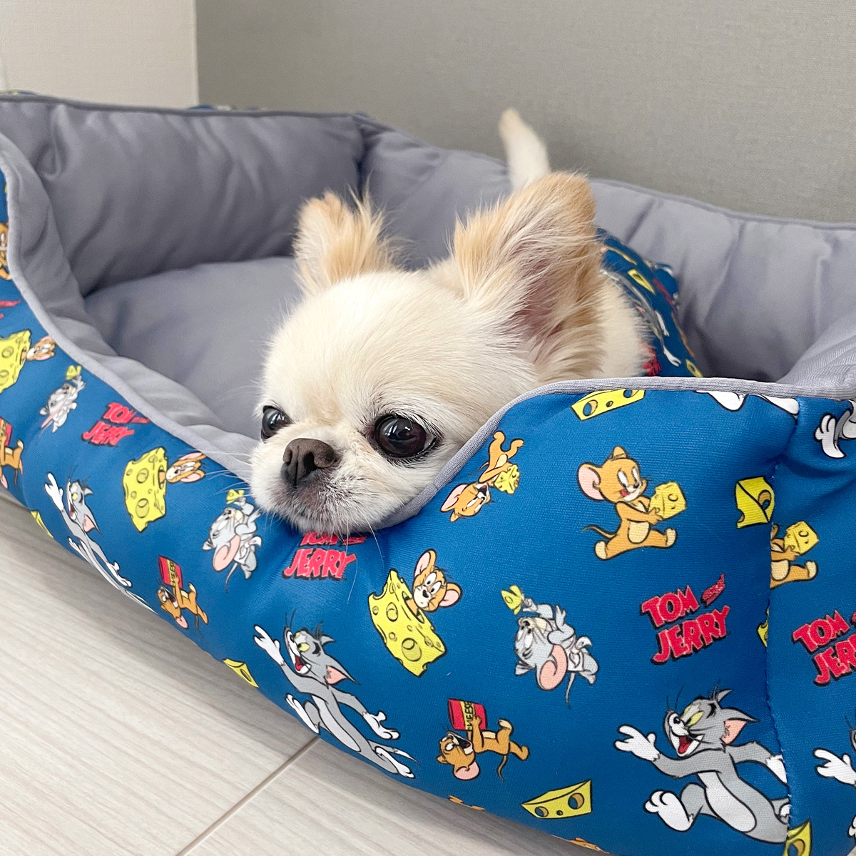 ペット用ベッド - TOM AND JERRY Official Online Store